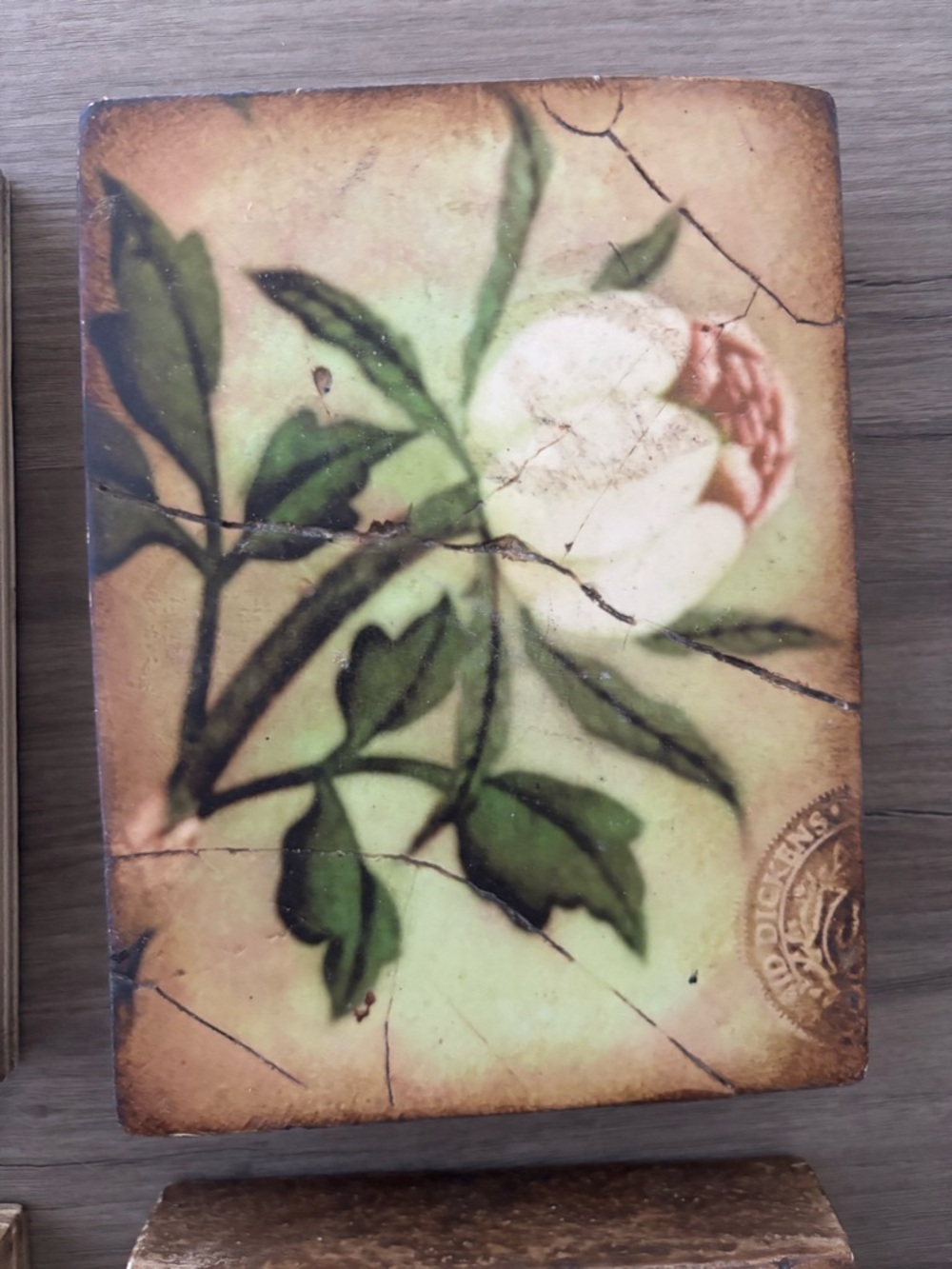 Sid Dickens Floral Tile Art - Pink Peony